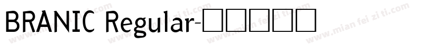 BRANIC Regular字体转换